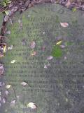 image of grave number 141486